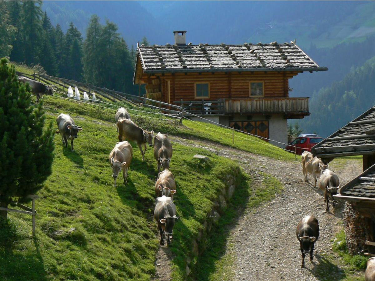 Ferienwohnung Maiernhof Bauernhof Ultental Сан-Панкрацио-д'Ультимо Экстерьер фото
